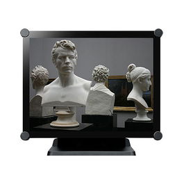 AG Neovo TX-1502 - Monitor Táctil de 15" (38.1cm) XGA 1024x768 4:3, 10 Puntos Táctiles, LED, 5ms, IP65, Gris