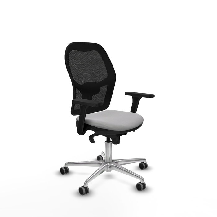 PIQUERAS Y CRESPO Silla de oficina Jorquera Gris claro/Negro PIQUERAS Y CRESPO Silla de oficina Jorquera Gris claro/Negro