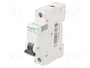 SCHNEIDER ELECTRIC Interruptor magnetotérmico C60H-DC 1 polo 40A 500VDC
