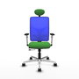 PIQUERAS Y CRESPO Silla de oficina Motilla con mecanismo Sincro/Traslack, Tela Verde y Malla Azul
