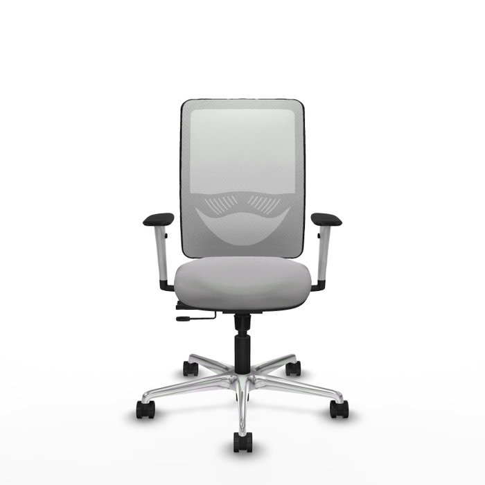 PIQUERAS Y CRESPO Silla de oficina Zulema con mecanismo Sincro/Traslack, Gris claro y Blanco PIQUERAS Y CRESPO Silla de oficina Zulema con mecanismo Sincro/Traslack, Gris claro y Blanco