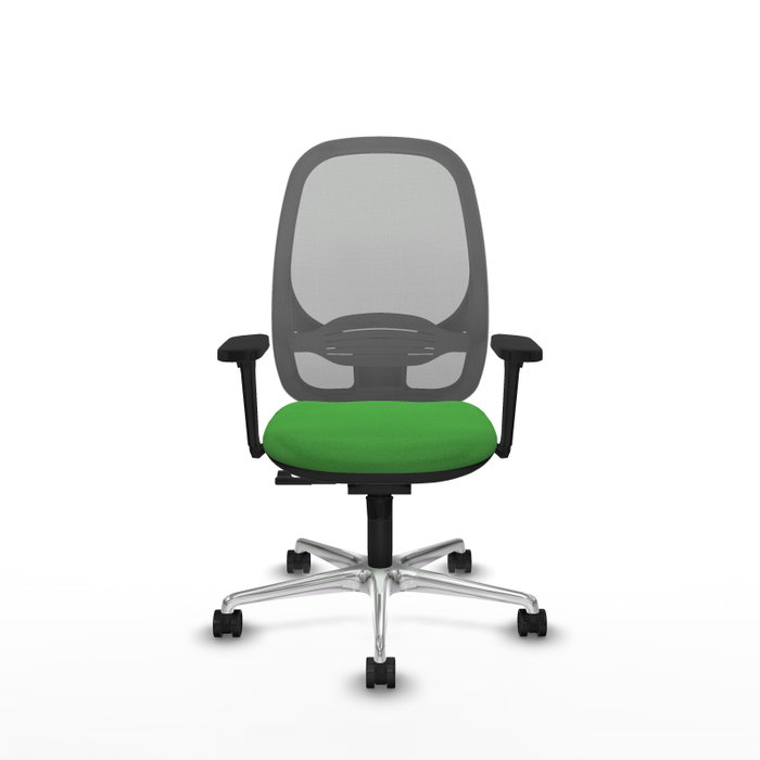 PIQUERAS Y CRESPO Silla de oficina Cilanco con mecanismo Sincro, Verde y Gris PIQUERAS Y CRESPO Silla de oficina Cilanco con mecanismo Sincro, Verde y Gris