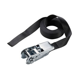 Master Lock 3108EURDAT Cinta de sujeción con trinquete 5m x 25mm
