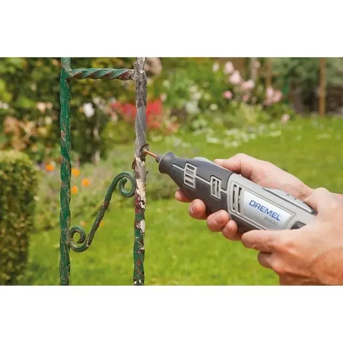 Dremel 684 Kit de limpieza y pulido de 20 piezas con estuche y bandeja extraíble