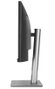 Asus ProArt PA34VCNV 34.1 pulg. UltraWide Quad HD IPS Curvo Negro