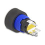 DeLOCK 22050 Interruptor pulsador con LED amarillo