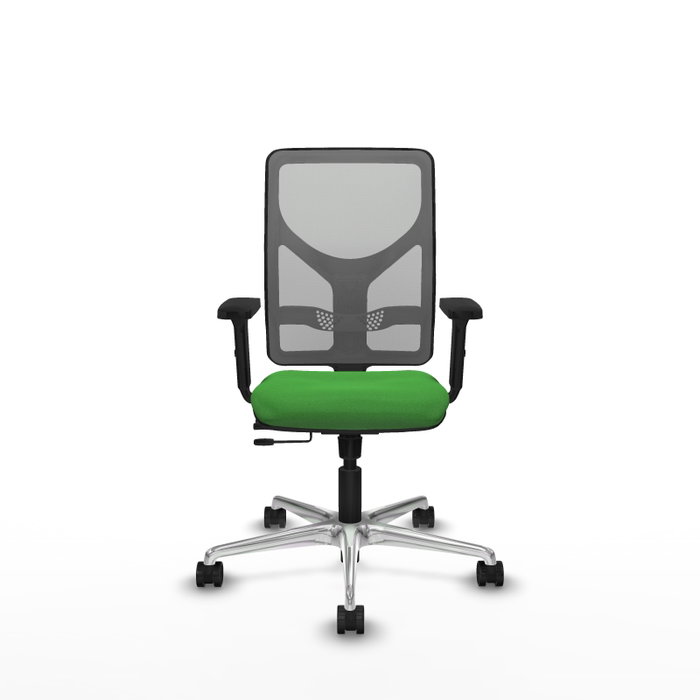 PIQUERAS Y CRESPO Silla de oficina Motilla Verde con malla Gris PIQUERAS Y CRESPO Silla de oficina Motilla Verde con malla Gris