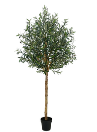 DKD Home Decor Árbol Poliéster Verde Olivo 80x80x220 cm