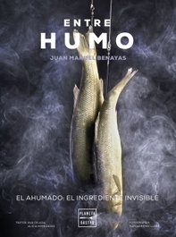 Entre humo, Juan Manuel Benayas - PLANETA