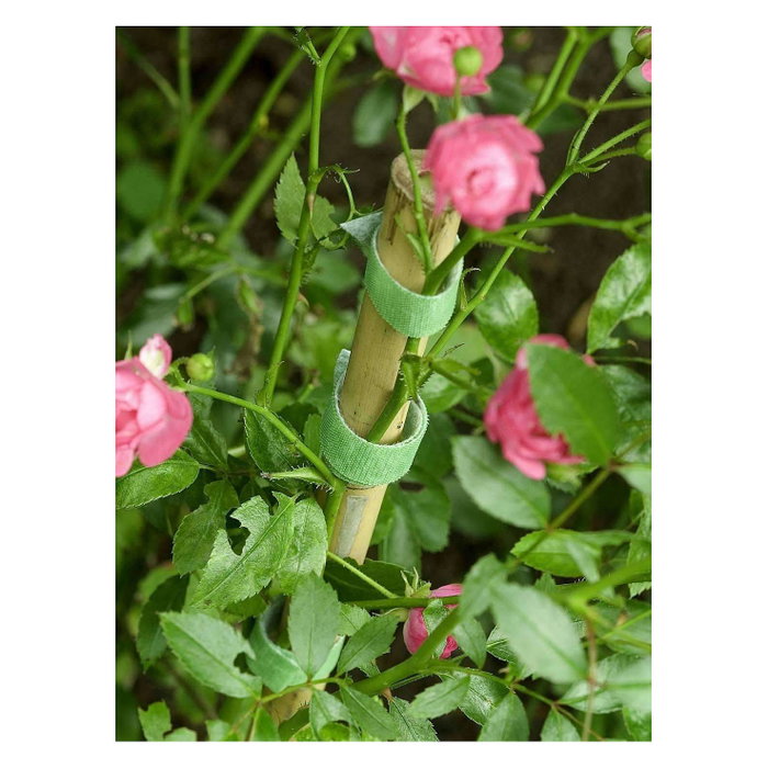 VELCRO ONE-WRAP Cinta de sujeción para plantas, 12mm x 5m, Verde