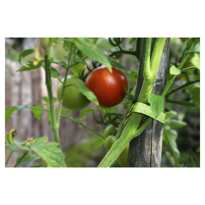 VELCRO ONE-WRAP Cinta de sujeción para plantas, 12mm x 5m, Verde