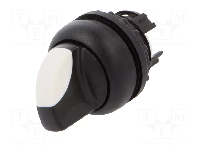 EATON ELECTRIC Interruptor Rotativo RMQ-Titan 22mm 2 Posiciones