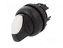 EATON ELECTRIC Interruptor Rotativo RMQ-Titan 22mm 2 Posiciones