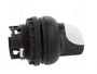EATON ELECTRIC Interruptor Rotativo RMQ-Titan 22mm 2 Posiciones