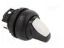 EATON ELECTRIC Interruptor Rotativo RMQ-Titan 22mm 2 Posiciones