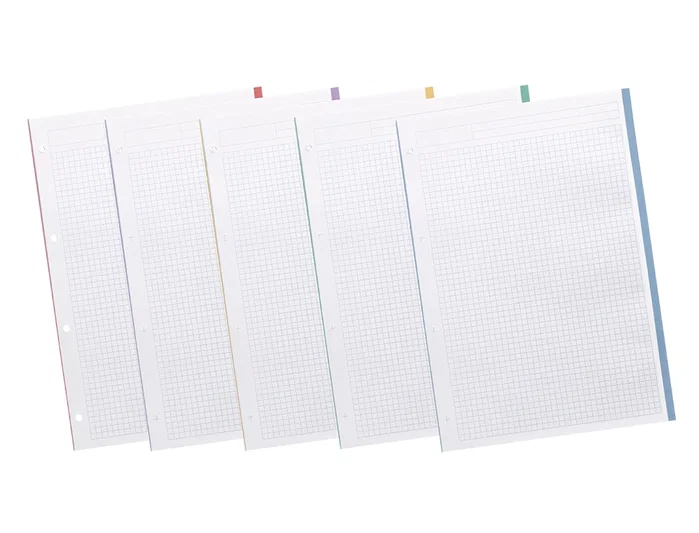Liderpapel Recambio A4 200+50 Hojas 90gr Cuadro 5mm 4 Taladros Bandas de 5 Colores Liderpapel Recambio A4 200+50 Hojas 90gr Cuadro 5mm 4 Taladros Bandas de 5 Colores