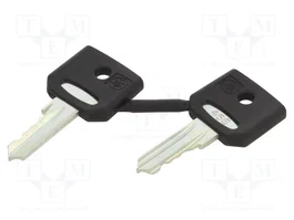 SCHNEIDER ELECTRIC Llave Harmony XB4 22mm, Pack de 2 unidades