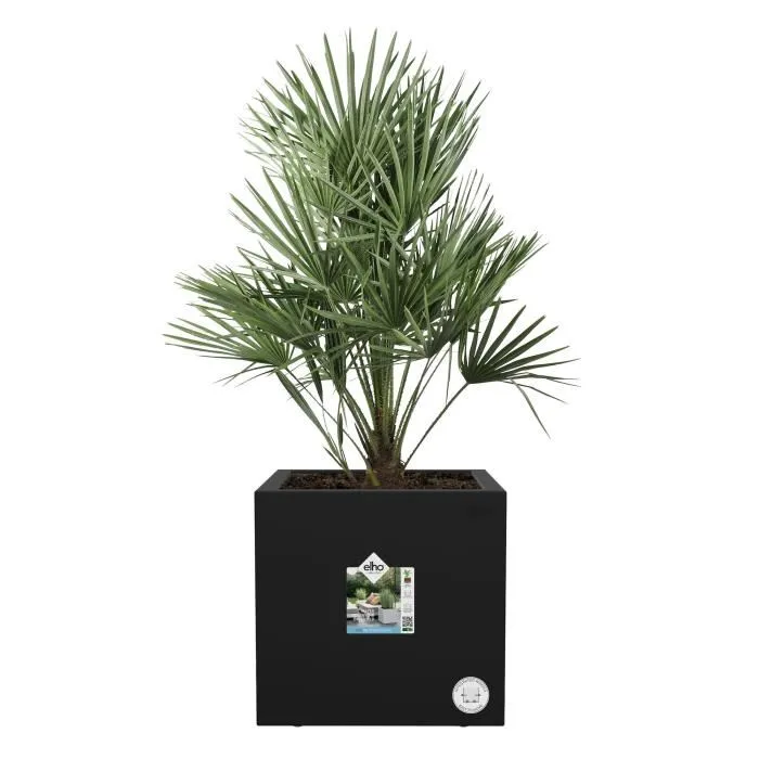Elho ELH8711904497736 Jardinera Vivo Next Square 40 Negro Ø 39 x H 38 cm 100% Reciclado Interior/Exterior