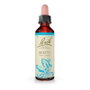 Bach Original Flores de Bach Beech (Haya) Nº3 20ml