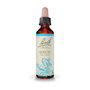Bach Original Flores de Bach Beech (Haya) Nº3 20ml