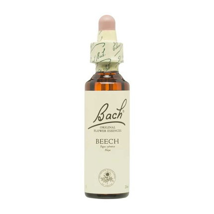 BACH Beech (Haya) Nº3 20ml