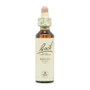 BACH Beech (Haya) Nº3 20ml