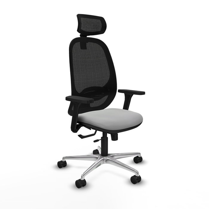 PIQUERAS Y CRESPO Silla de oficina Cilanco con mecanismo Sincro/Traslack, Gris claro y Negro PIQUERAS Y CRESPO Silla de oficina Cilanco con mecanismo Sincro/Traslack, Gris claro y Negro