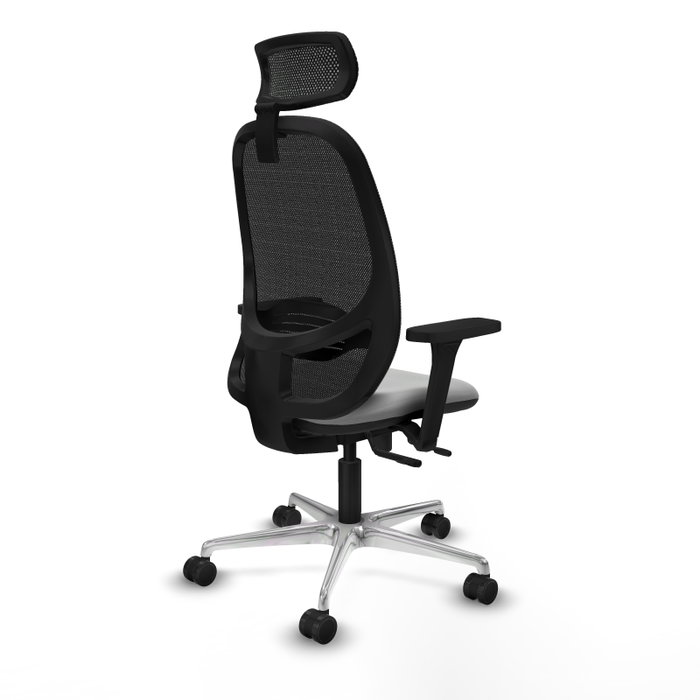 PIQUERAS Y CRESPO Silla de oficina Cilanco con mecanismo Sincro/Traslack, Gris claro y Negro PIQUERAS Y CRESPO Silla de oficina Cilanco con mecanismo Sincro/Traslack, Gris claro y Negro