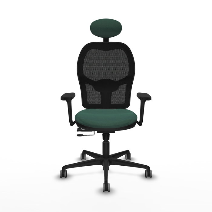 PIQUERAS Y CRESPO Silla de oficina Jorquera con mecanismo Sincro/Traslack, Verde botella y Negro PIQUERAS Y CRESPO Silla de oficina Jorquera con mecanismo Sincro/Traslack, Verde botella y Negro