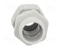 Lapp SKINTOP 53111420 Prensaestopas de Poliamida Gris M20x1.5, Pack de 100 unidades