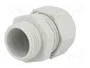 Lapp SKINTOP 53111420 Prensaestopas de Poliamida Gris M20x1.5, Pack de 100 unidades