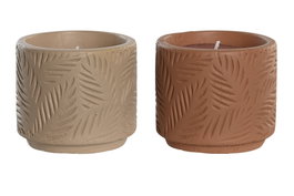 DKD Home Decor Vela de Gres con Hojas, Surtido de 2 Unidades