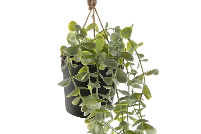 DKD Home Decor Planta Colgante Verde Surtido 2