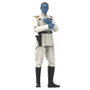 Hasbro Star Wars The Black Series Figura de Acción Gran Almirante Thrawn Escala 15 cm