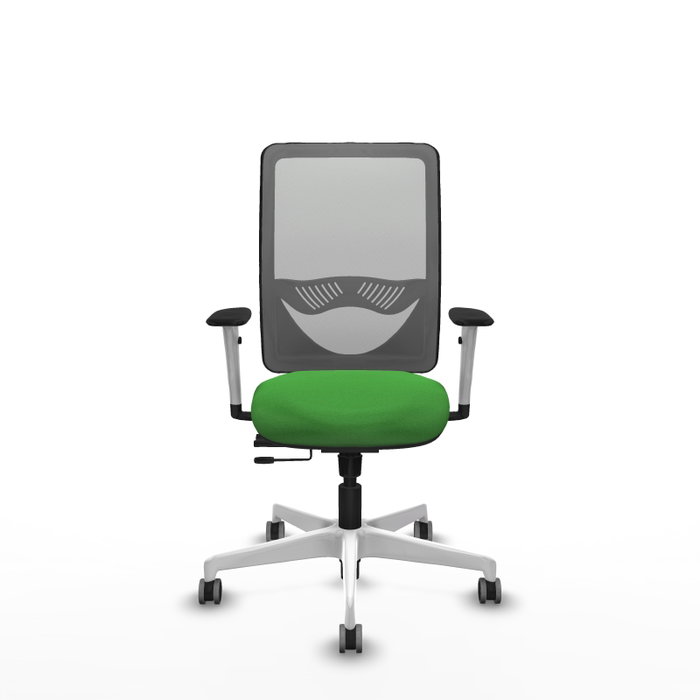 PIQUERAS Y CRESPO Silla de oficina Zulema Verde con malla Gris
