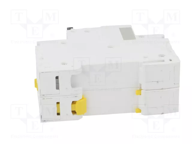SCHNEIDER ELECTRIC iC60H 20A 2 Polos Característica D