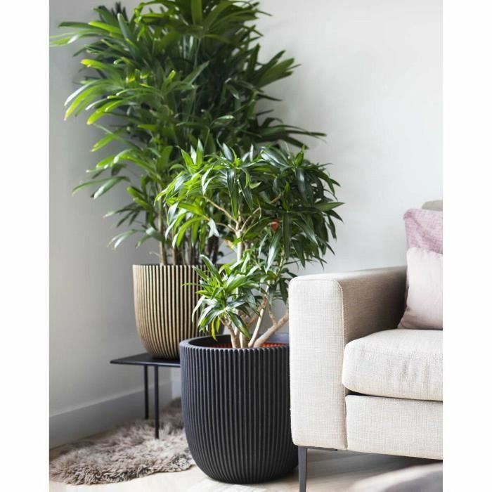 Capi Europe Jardinière Nature Rib 43x41 cm negro KBLR933 424234