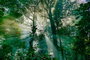 DKD Home Decor Cuadro de Cristal Templado Fotoimpreso Verde 150x100 cm