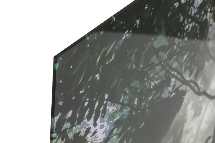 DKD Home Decor Cuadro de Cristal Templado Fotoimpreso Verde 150x100 cm DKD Home Decor Cuadro de Cristal Templado Fotoimpreso Verde 150x100 cm