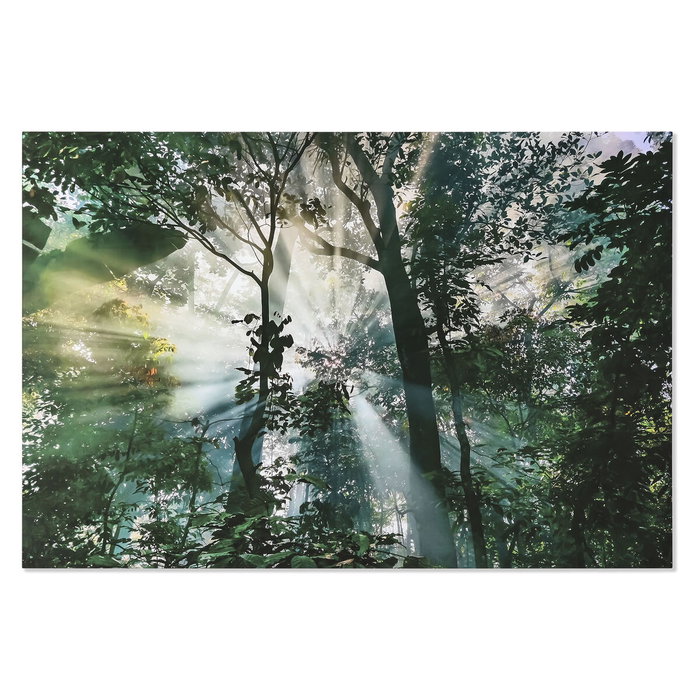 DKD Home Decor Cuadro de Cristal Templado Fotoimpreso Verde 150x100 cm DKD Home Decor Cuadro de Cristal Templado Fotoimpreso Verde 150x100 cm