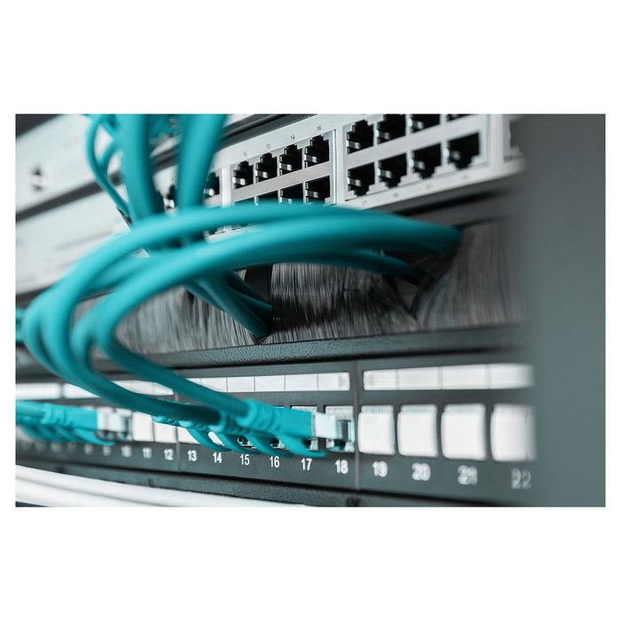 Digitus Kabelbürstenleiste 1HE 24x423mm negro, Regleta de cepillos para cables para armarios de 483 mm (19"), Negro