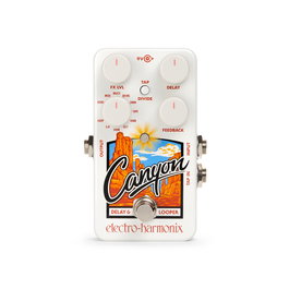 EHX Canyon Pedal de efectos Delay y Looper con fuente de alimentación 9,6DC-200 PSU