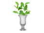 Giftdecor Copa de Vidrio Diamantes Transparente (Pack de 6)
