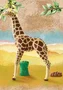 Playmobil Wild Life 71048 Jirafa