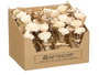 Giftdecor Jarron Ramillete Flores 3 Modelos Surt 11x25x11 cm (Set de 12)