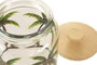 DKD Home Decor Bote de Cristal con Diseño de Palmeras de 2.6L