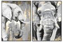 DKD Home Decor Cuadro Elefante en Lienzo, Surtido de 2 Unidades