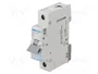 HAGER MBN125E Interruptor magnetotérmico 25A 1 Polo 6kA