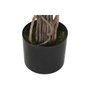 DKD Home Decor Árbol de Azalea Fucsia y Verde 80x80x150 cm