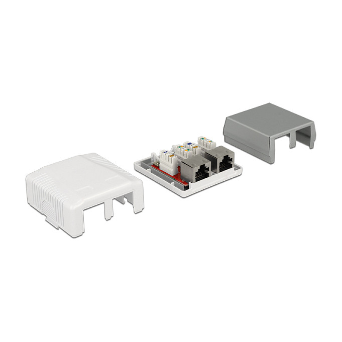 DeLOCK 86197 Toma de red de 2 puertos Cat.6A LSA Blanco